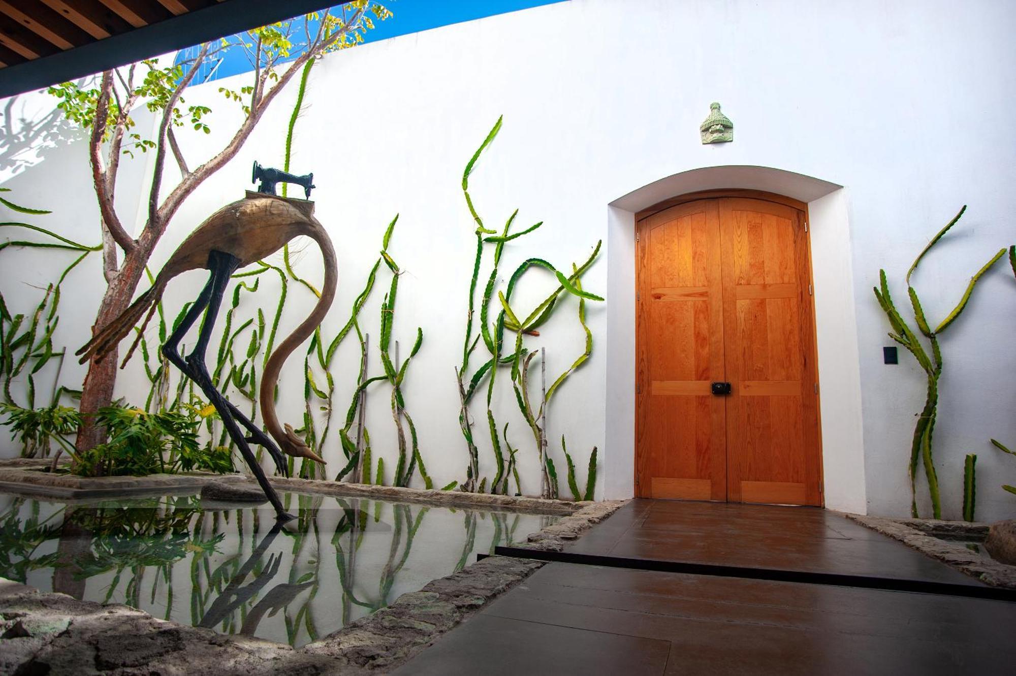 Casa Carmen Xolotl Hotell Oaxaca Exteriör bild